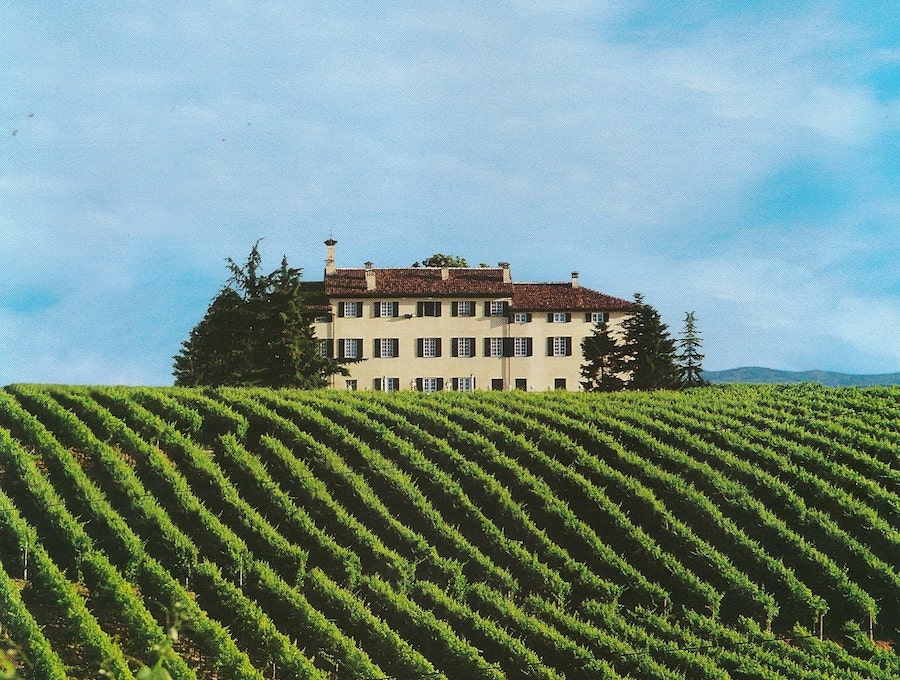 I vigneti di Tenuta La Marchesa, Novi Ligure