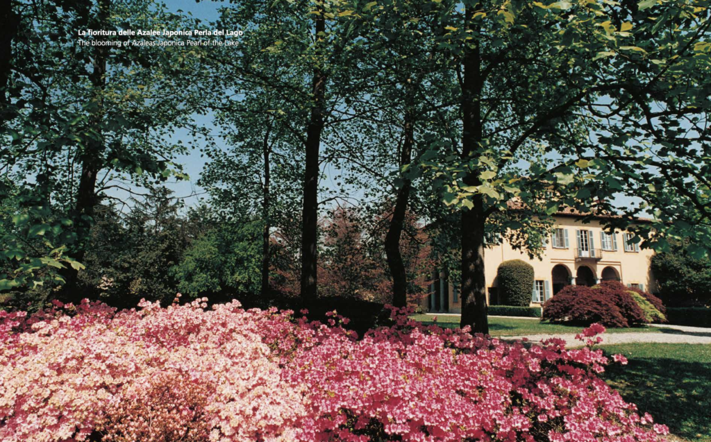 Il giardino all'inglese